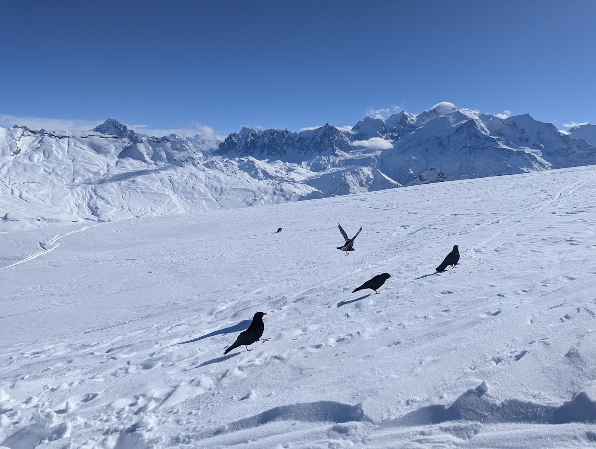 Sarl Le Desert Blanc-4