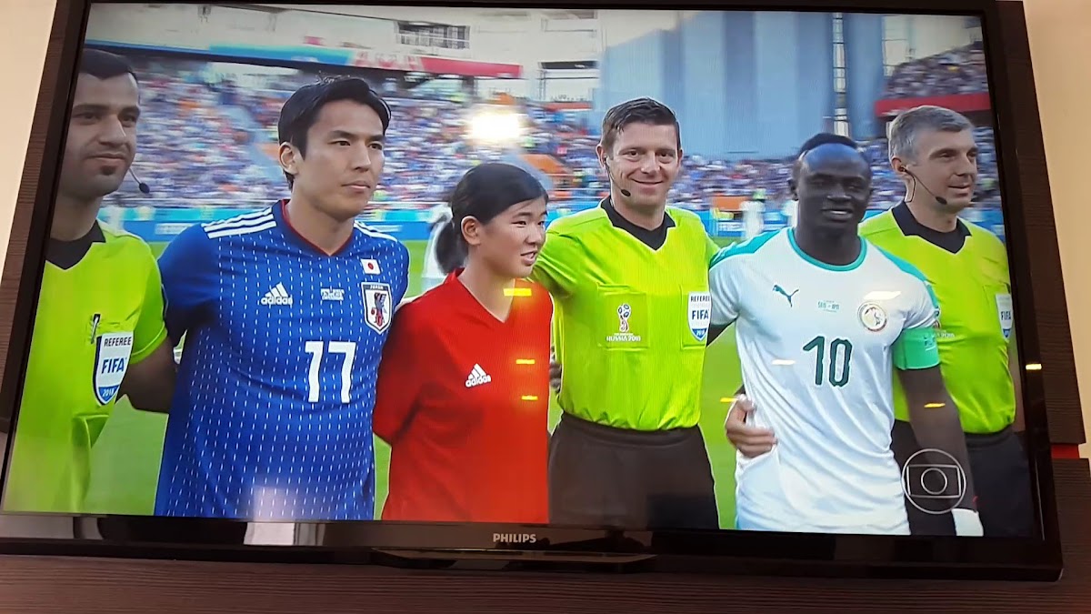 Saty Culinária Japonesa-2