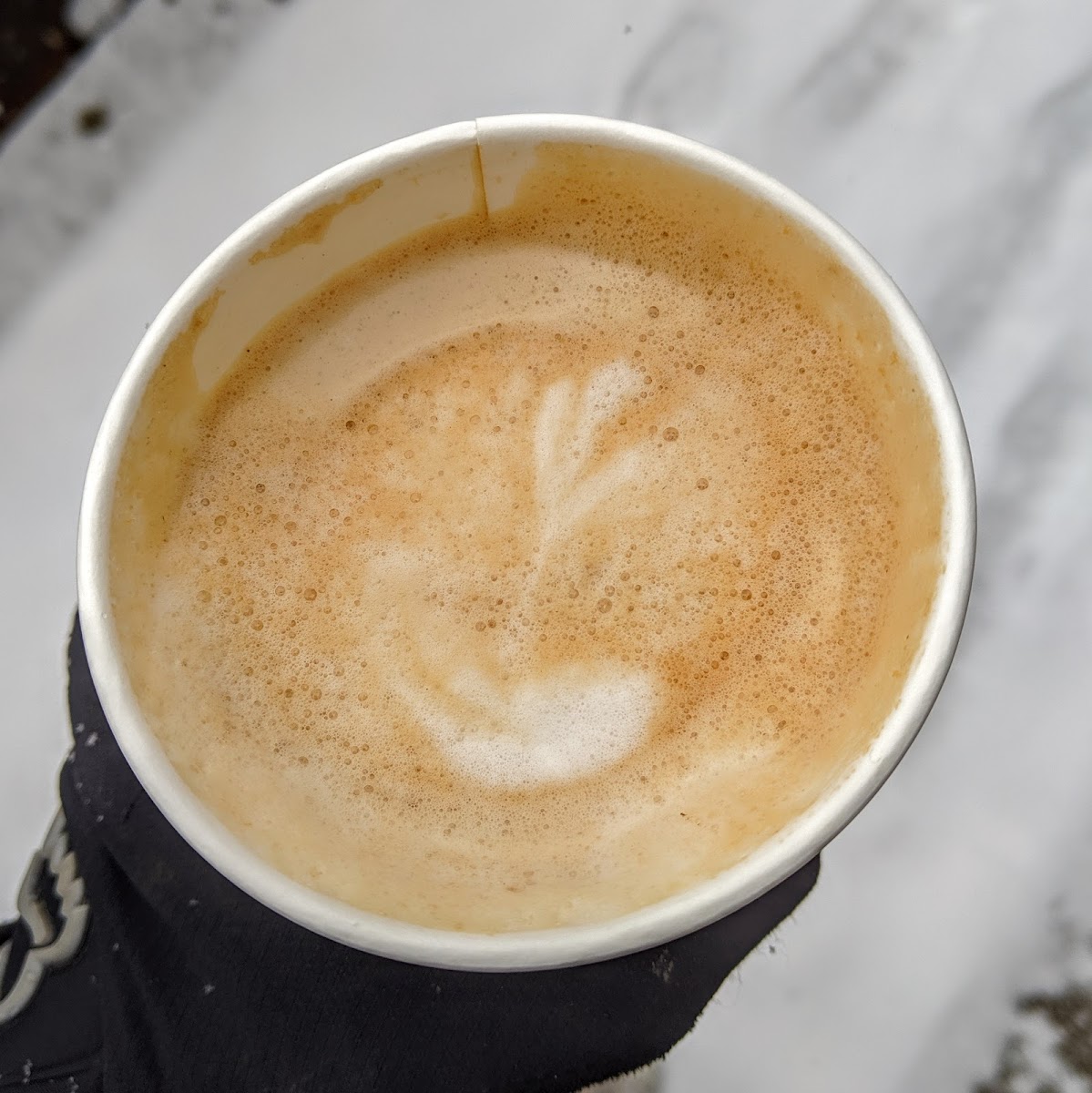 Savoury Grounds Coffee Co.-6
