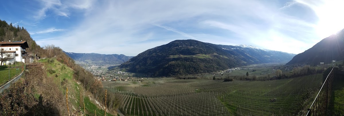 Saxnerhof-3