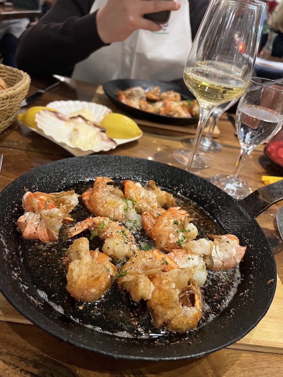 Scampino-7
