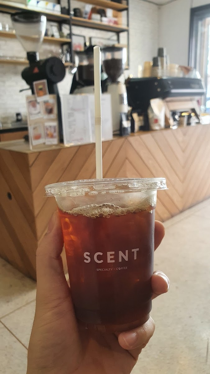 Scent Specialty Coffee-6