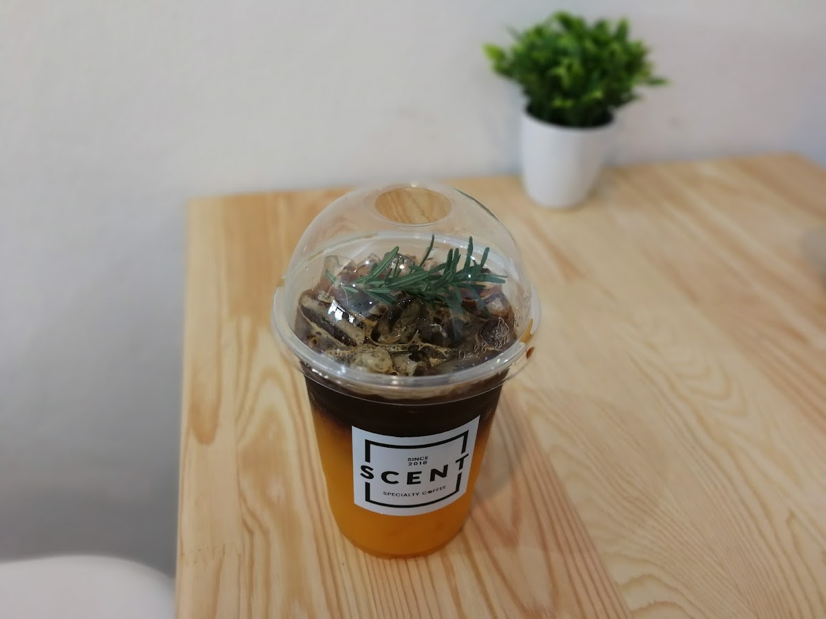 Scent Specialty Coffee-7