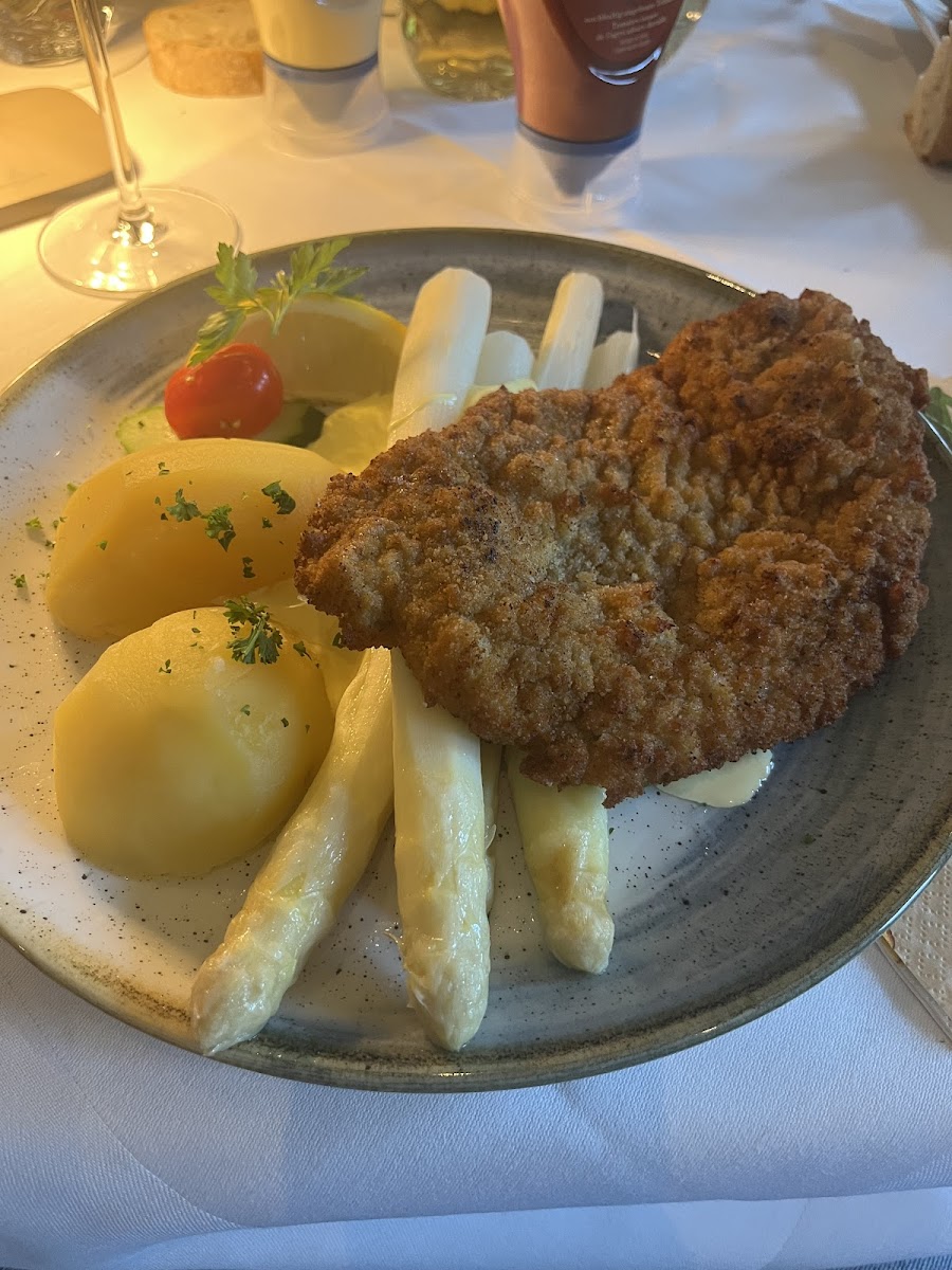 Schaukelpferd Gmbh-4