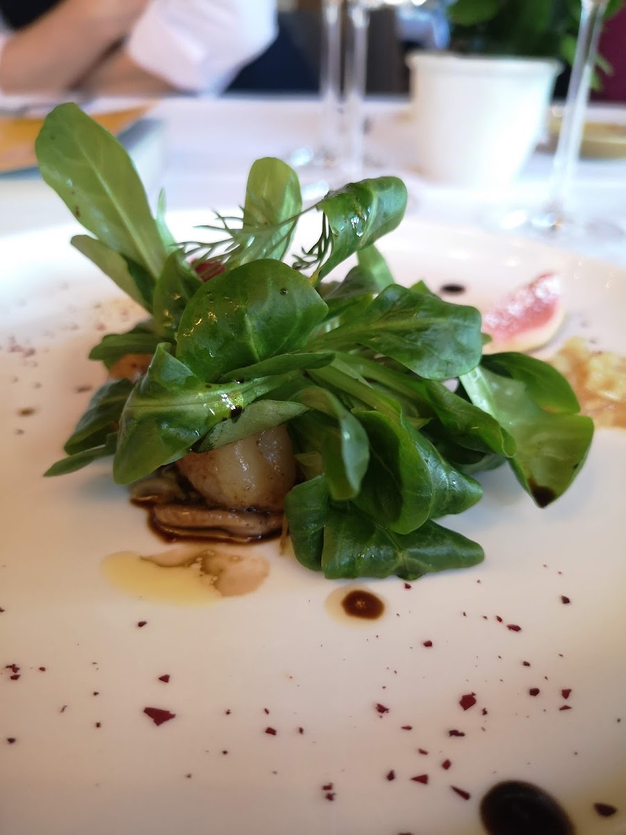 Schlossrestaurant A - Pro-7