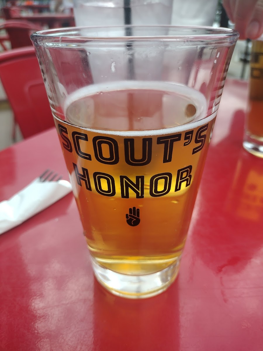 Scout's Honor-8