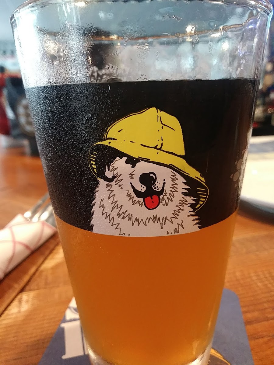 Sea Dog Brew Pub-5