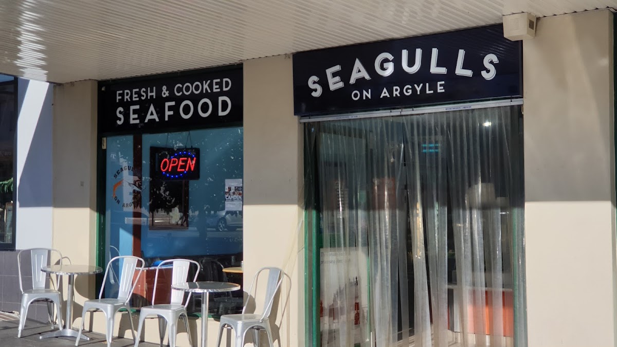 Seagulls On Argyle