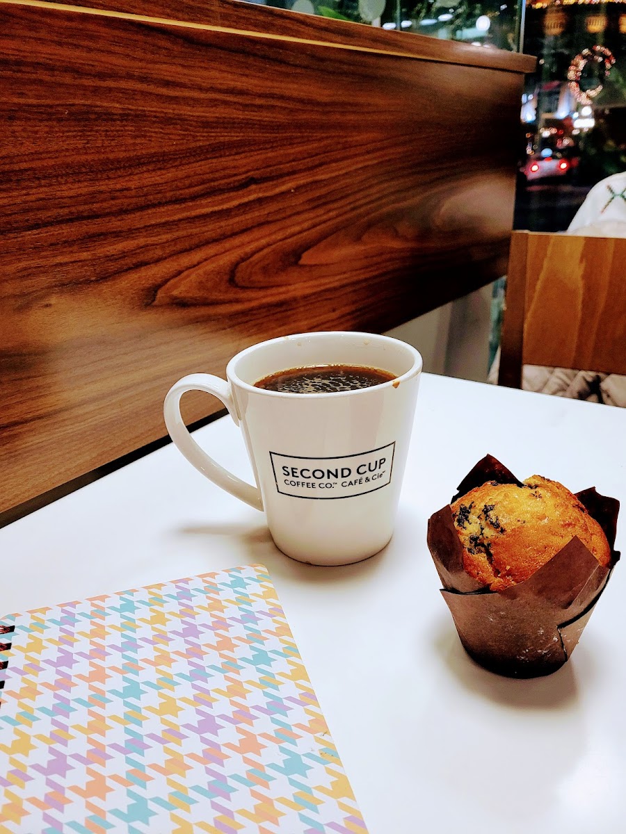 Second Cup Cafe-6