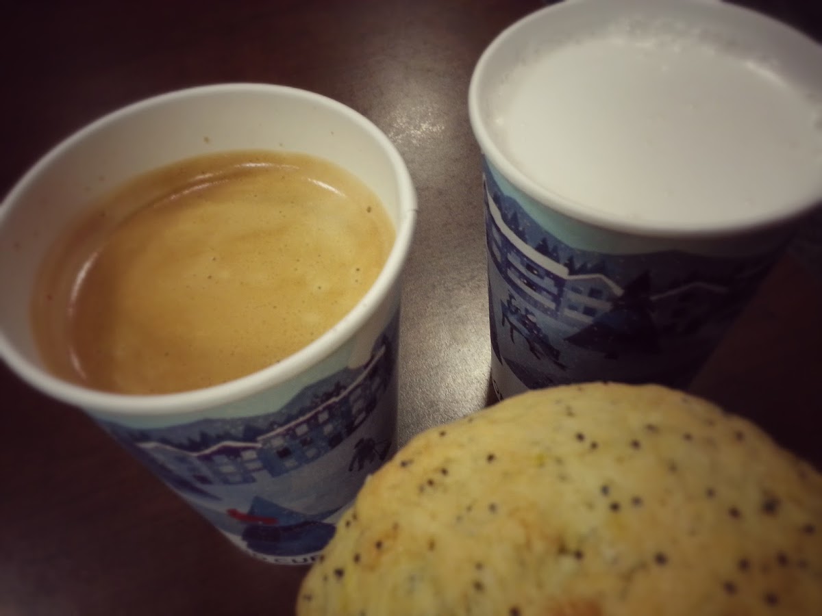 Second Cup Cafe-7