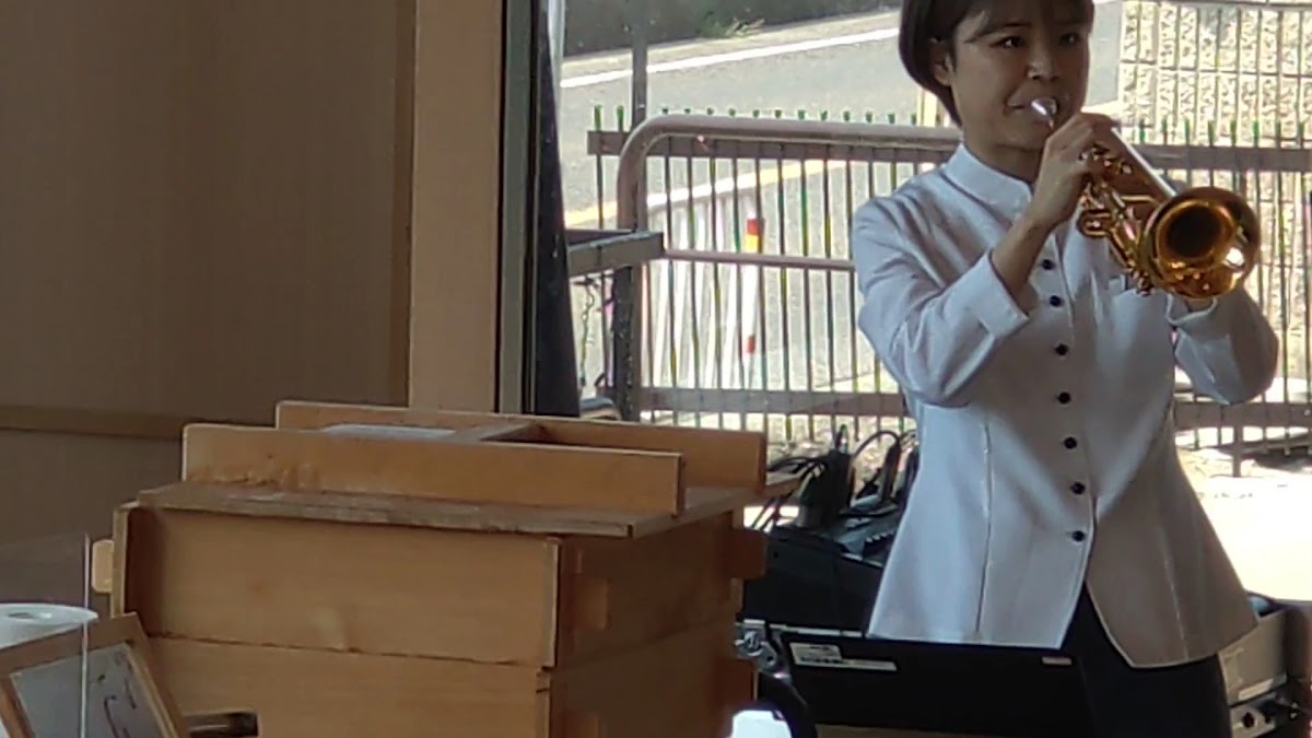 Seikaiha Aonoya | Sushi/tempura-2