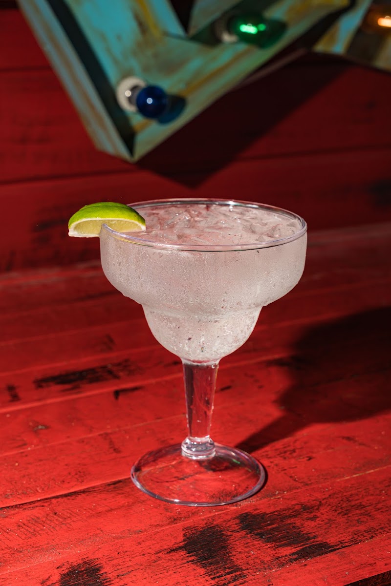 Señor Frog's | Fort Lauderdale-5