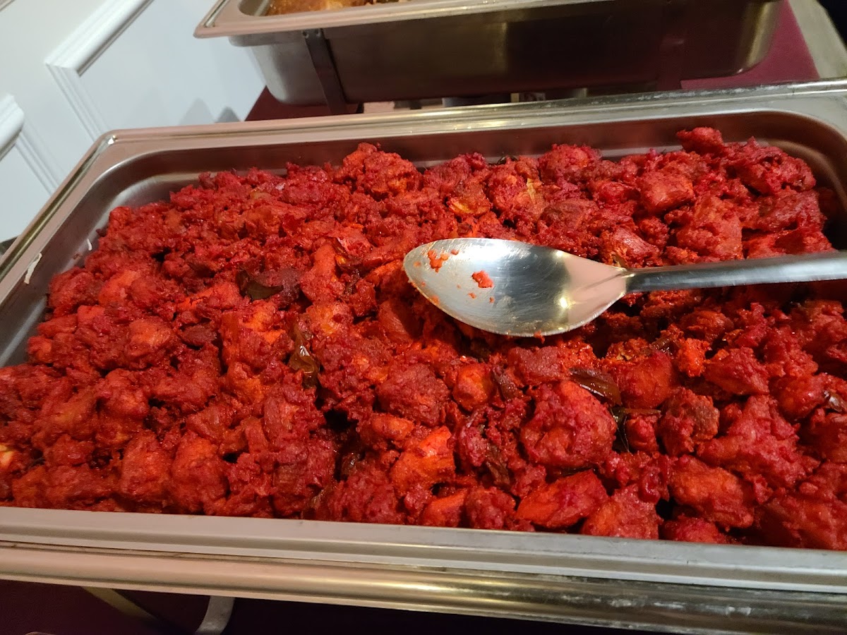 Shaahi Biryani-10