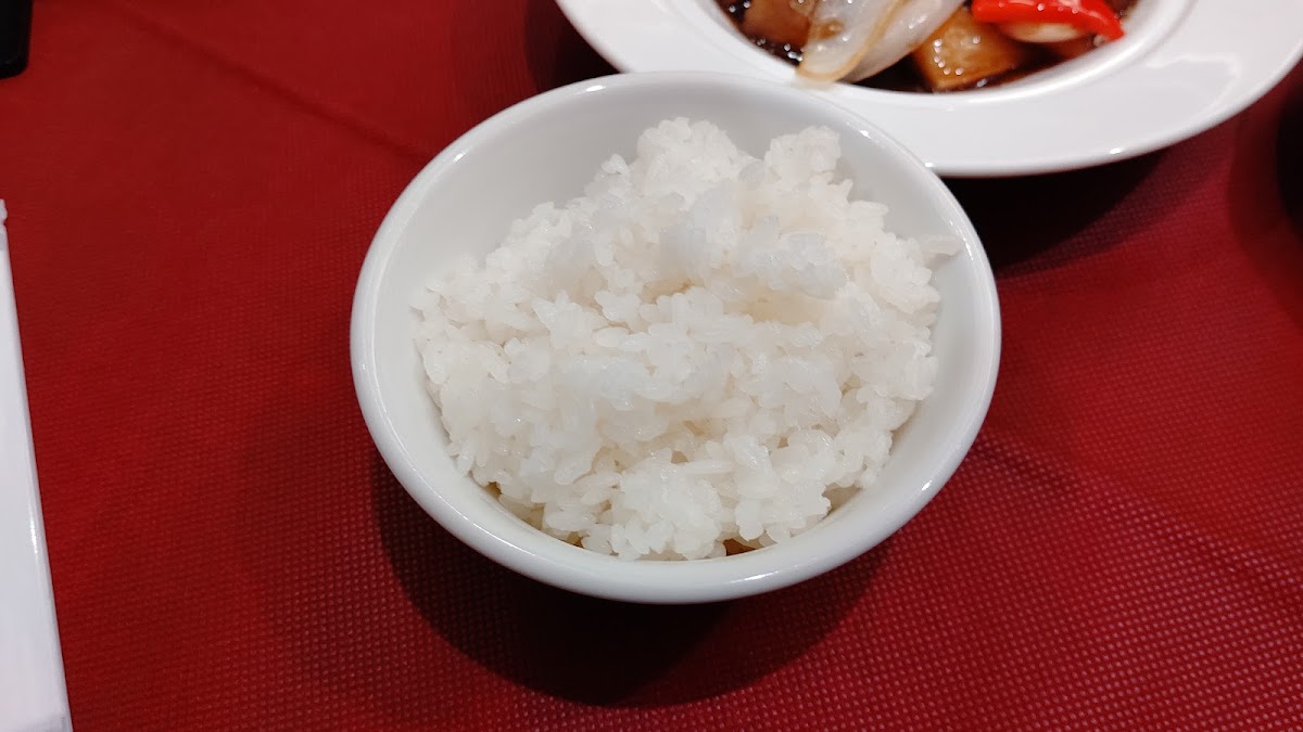 Shahoden Hashimoto Miwiten-10