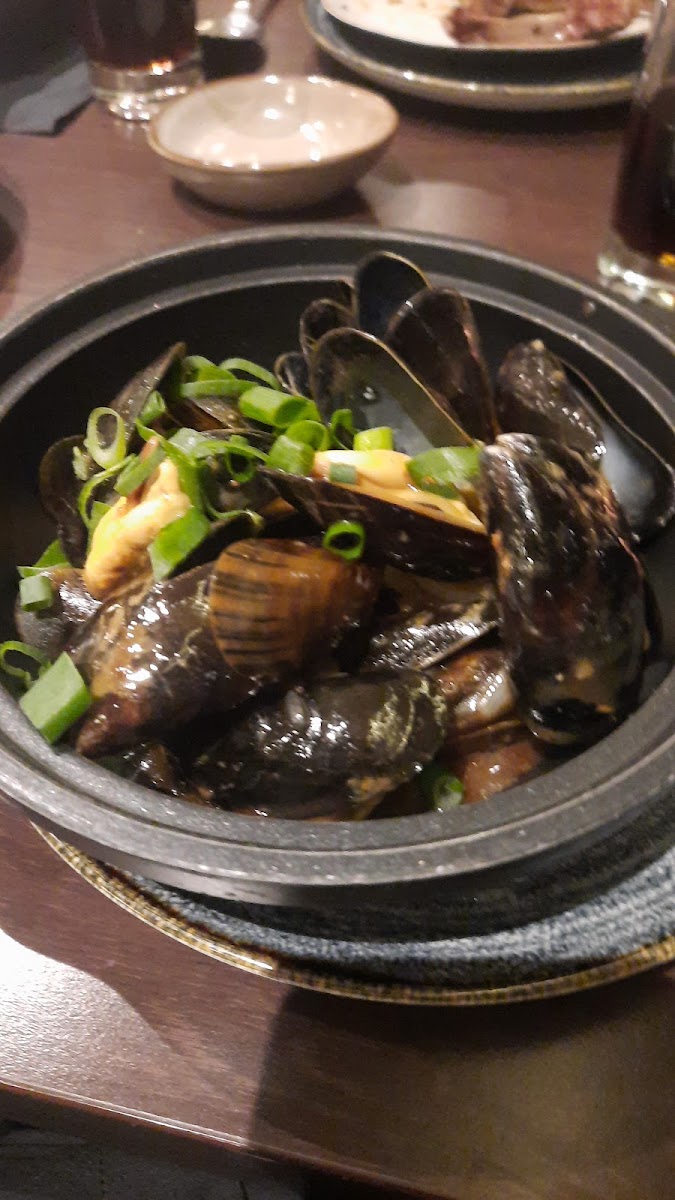 Shanghai Apeldoorn-10
