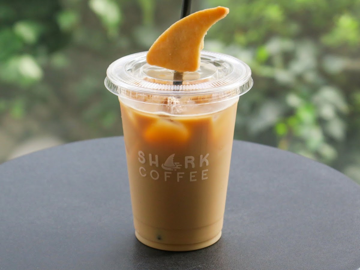 Shark Coffee-5