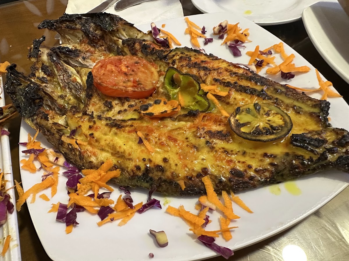Sharkfish Restaurant Luxor-4