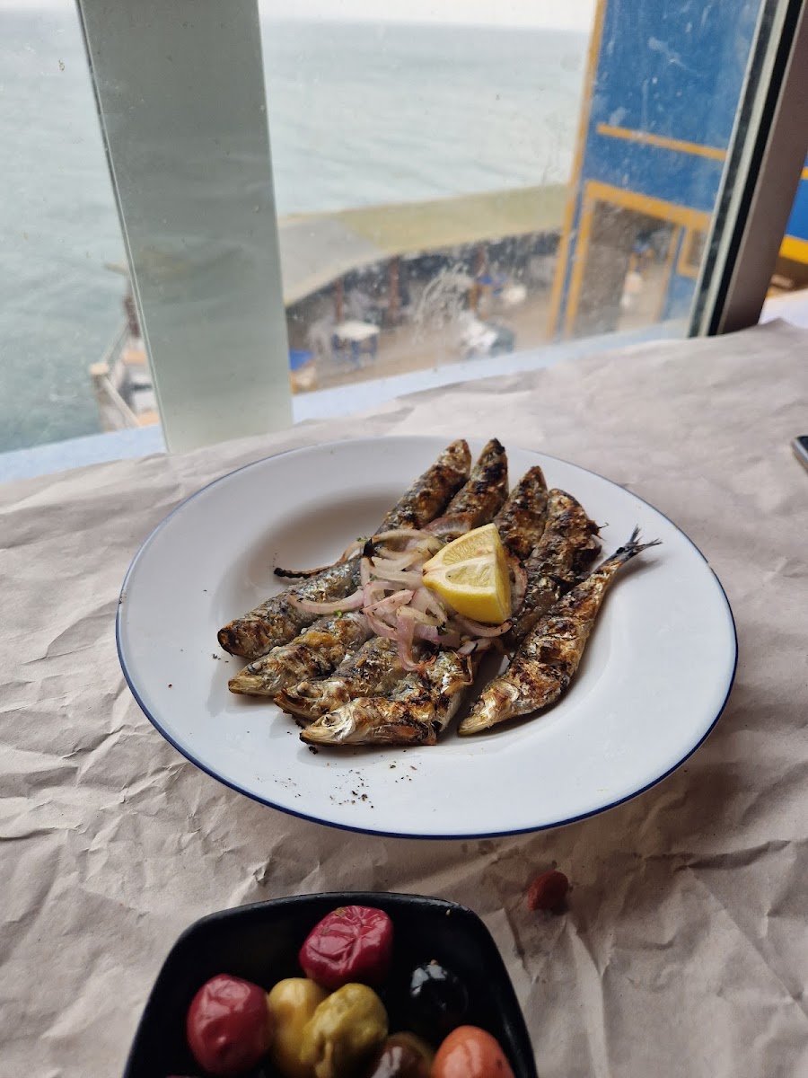 Shark’S Rock Restaurant-8