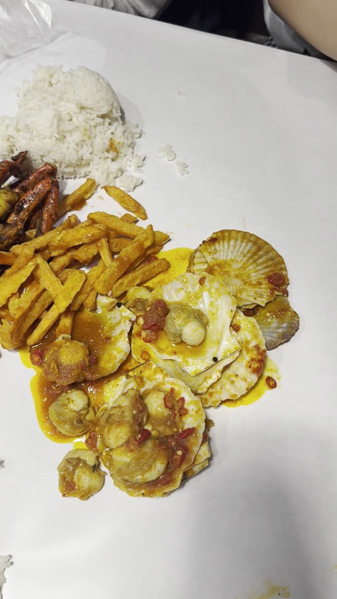 Shell Out® Publika-2