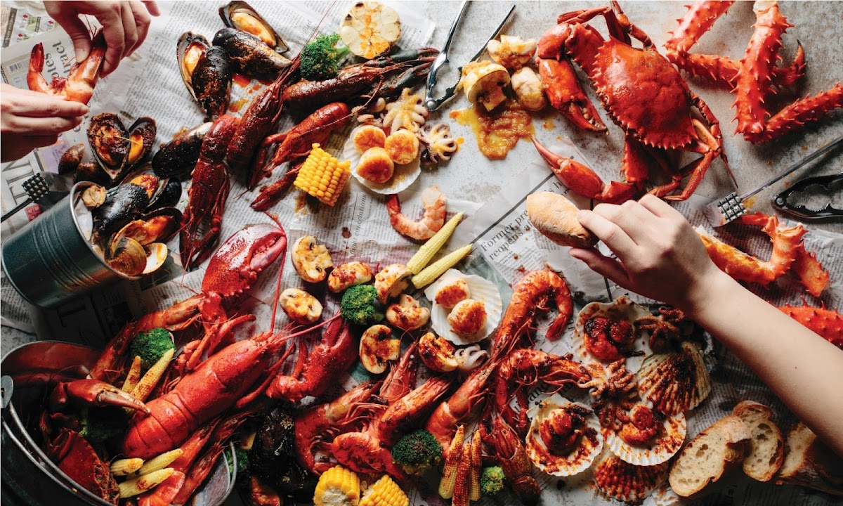 Shell Out® Publika-3