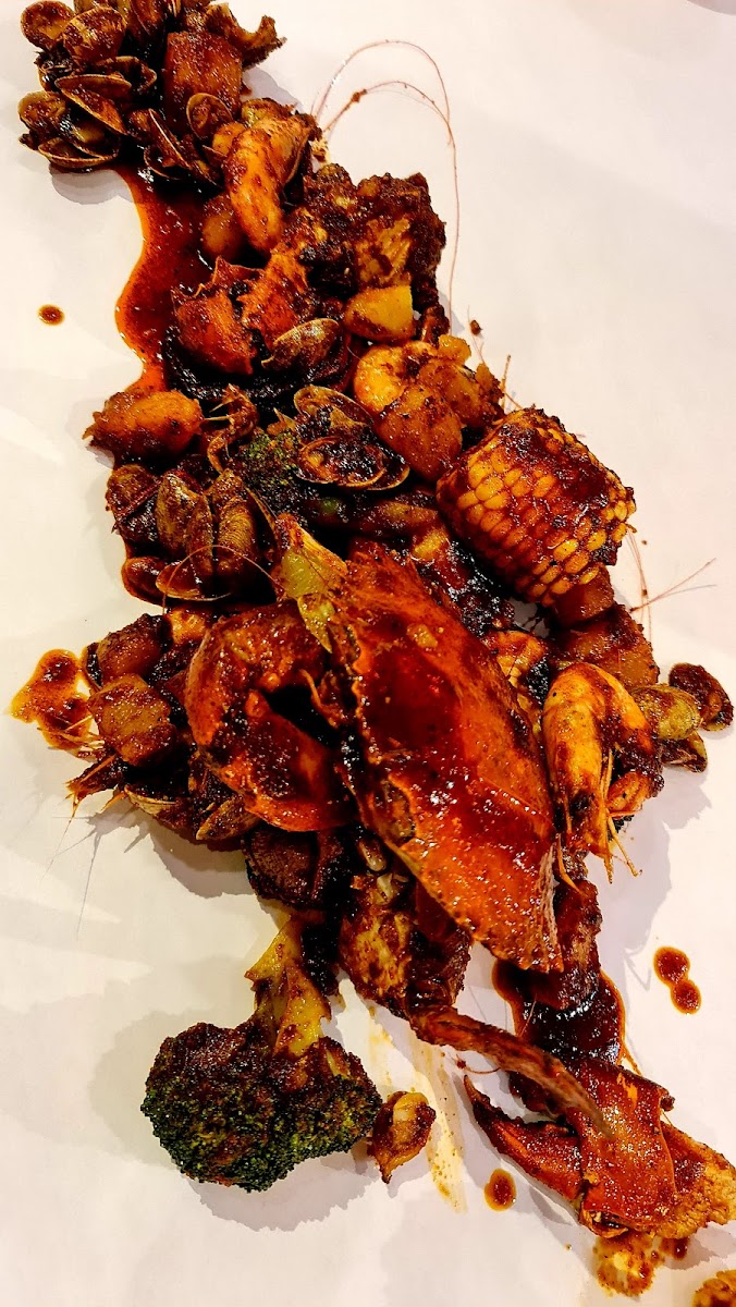 Shell Out® Publika-4