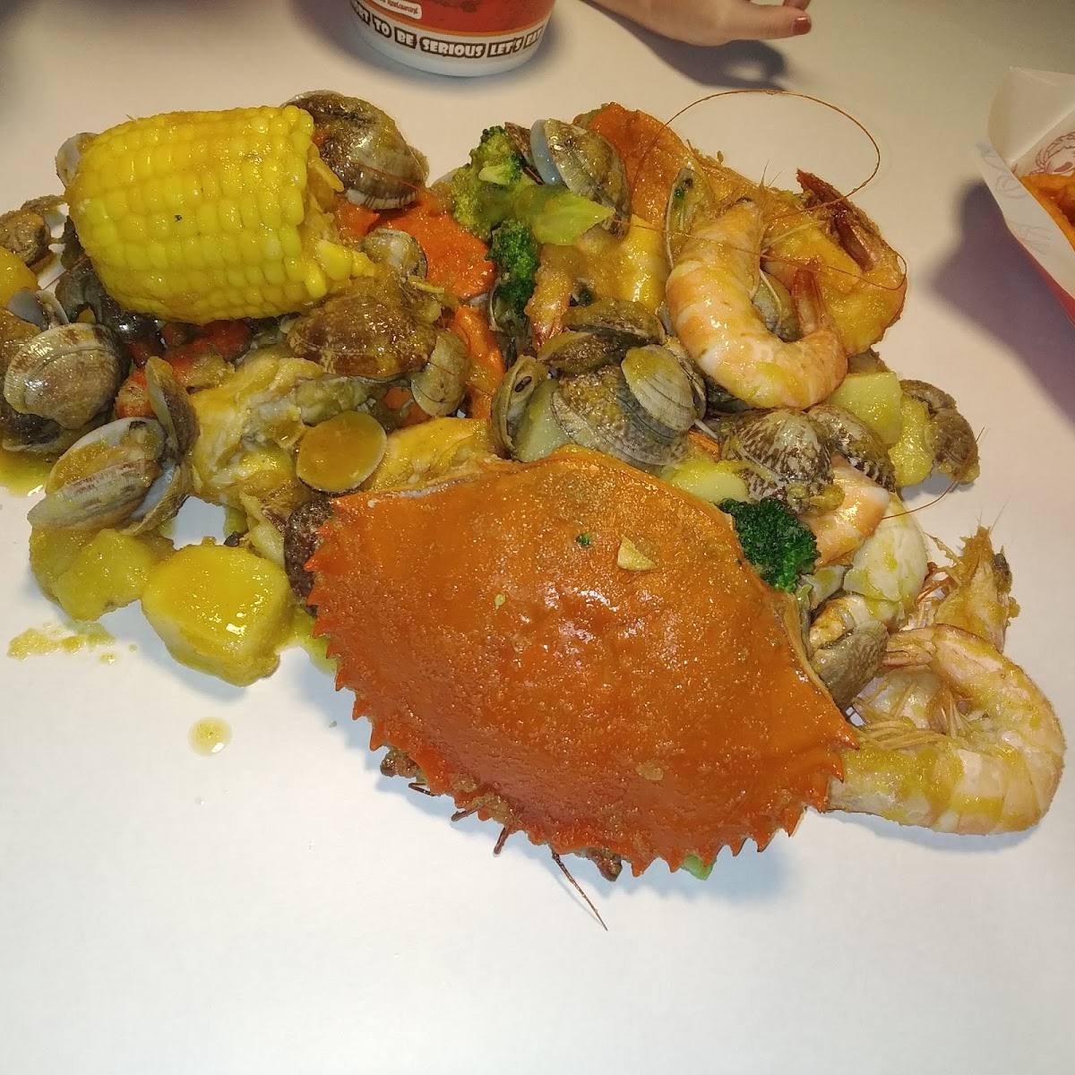 Shell Out® Publika-6