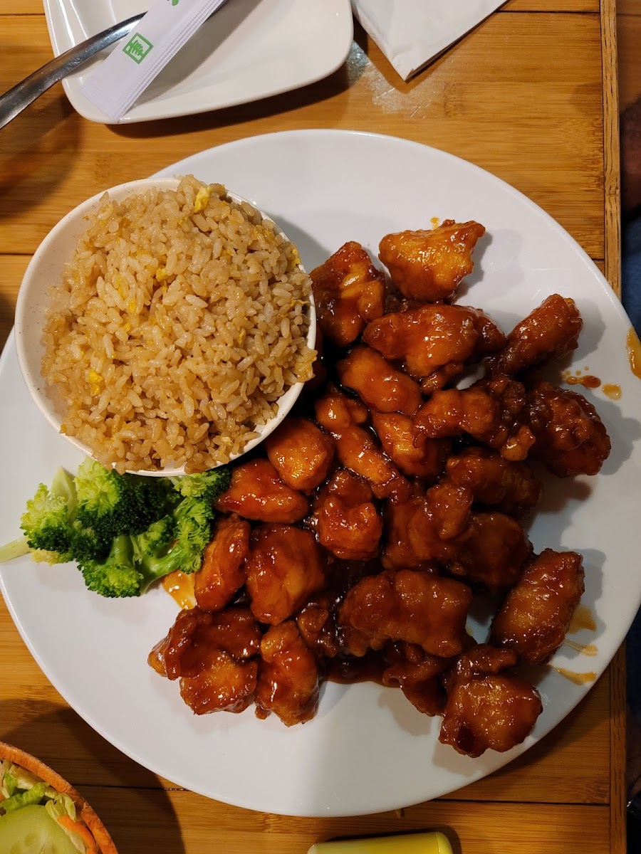 Shogun Japanese Restaurant-9