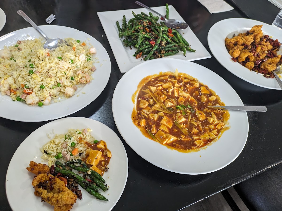 Sichuan City Chinese Restaurant-6