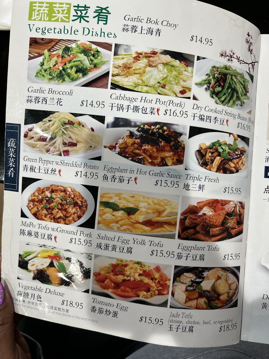 Menu Sichuan City Chinese Restaurant-3