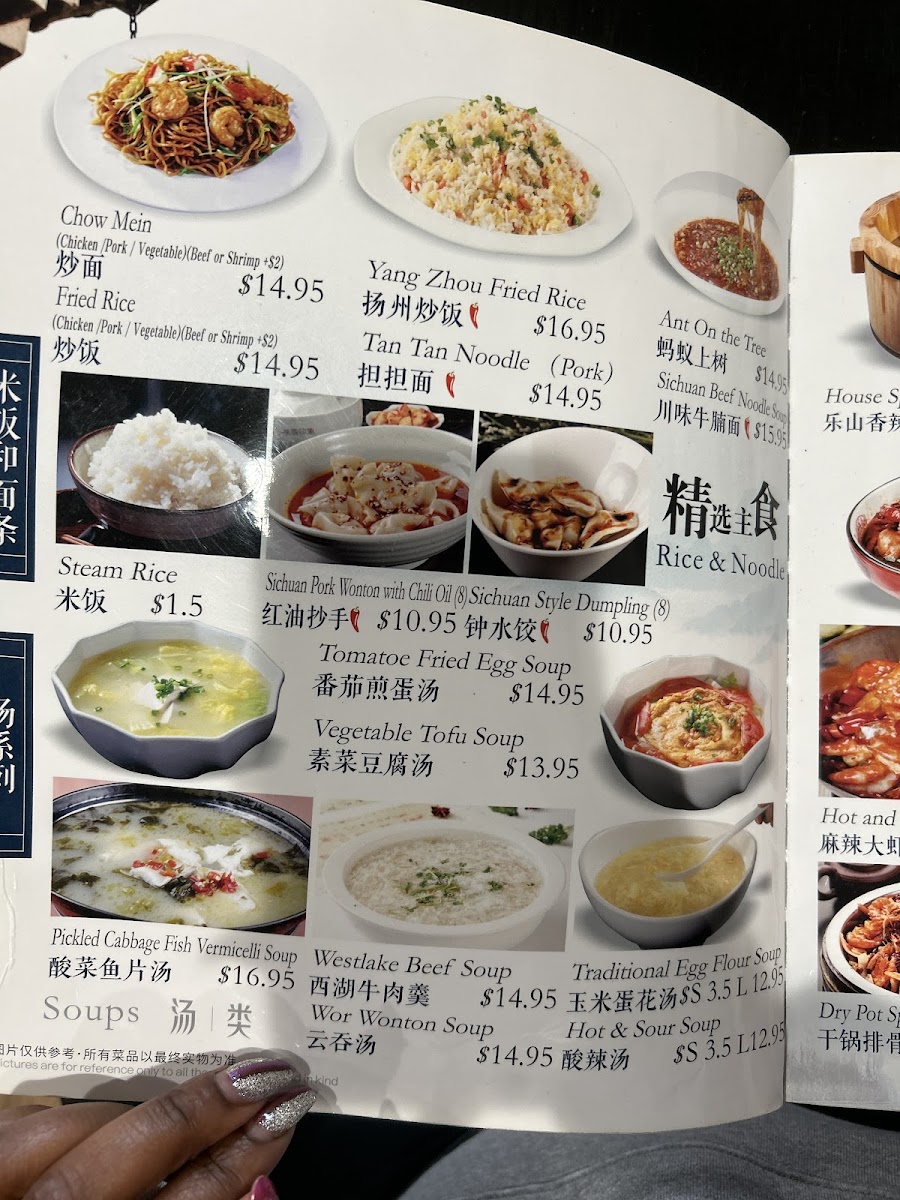 Menu Sichuan City Chinese Restaurant-8