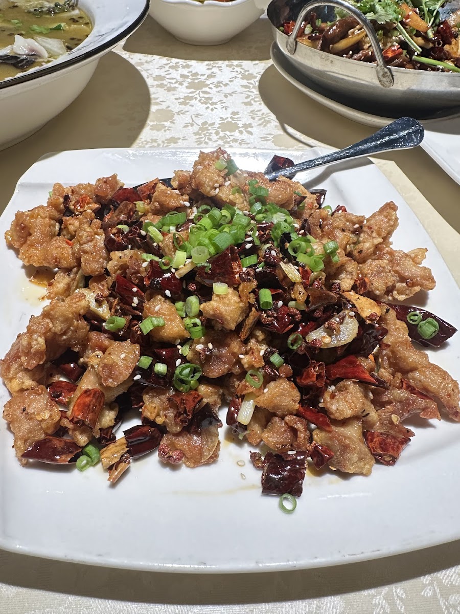 Sichuan Fish Restaurant-6