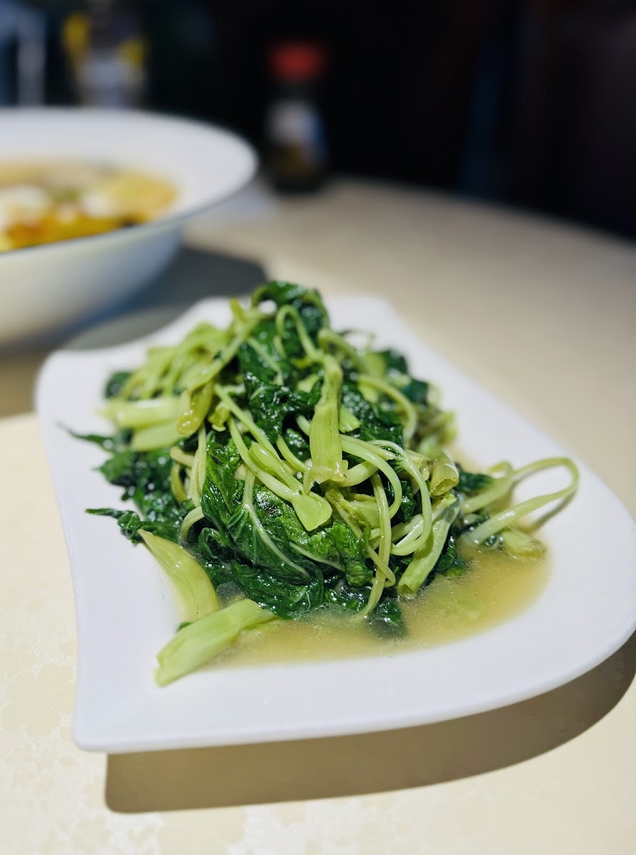 Sichuan Fish Restaurant-9