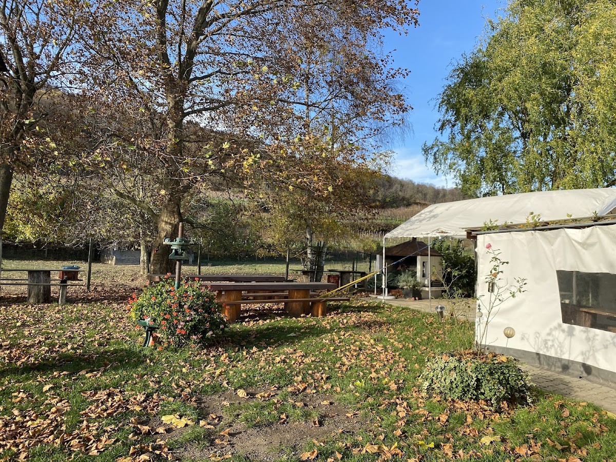 Silberberg Hock-4