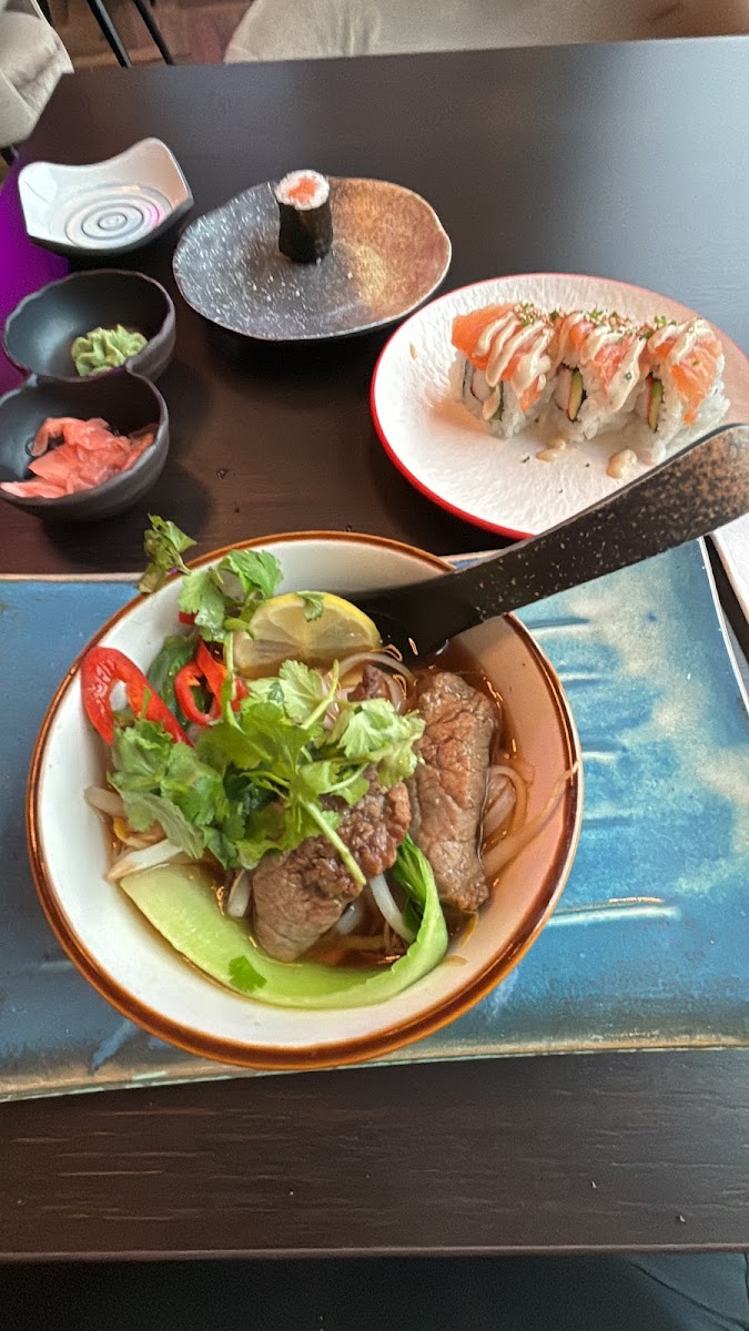 Silk Sushi & Asian Dining Arnhem-7