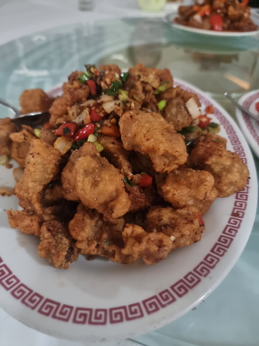 Silver Dragon Chinese Restaurant-10
