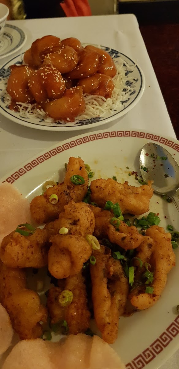 Silver Dragon Chinese Restaurant-4