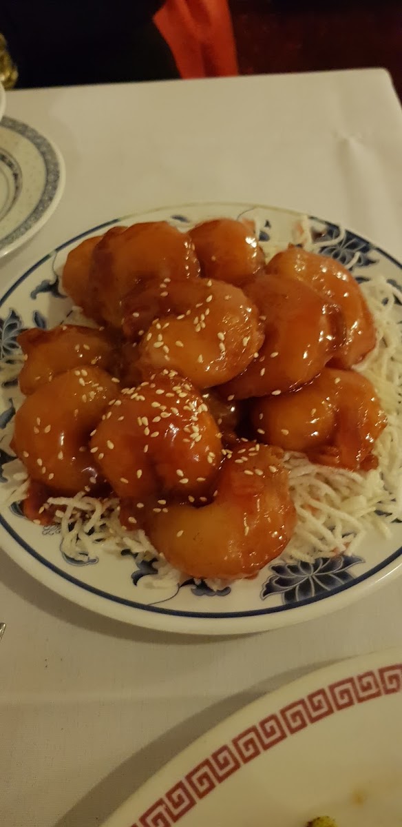Silver Dragon Chinese Restaurant-9