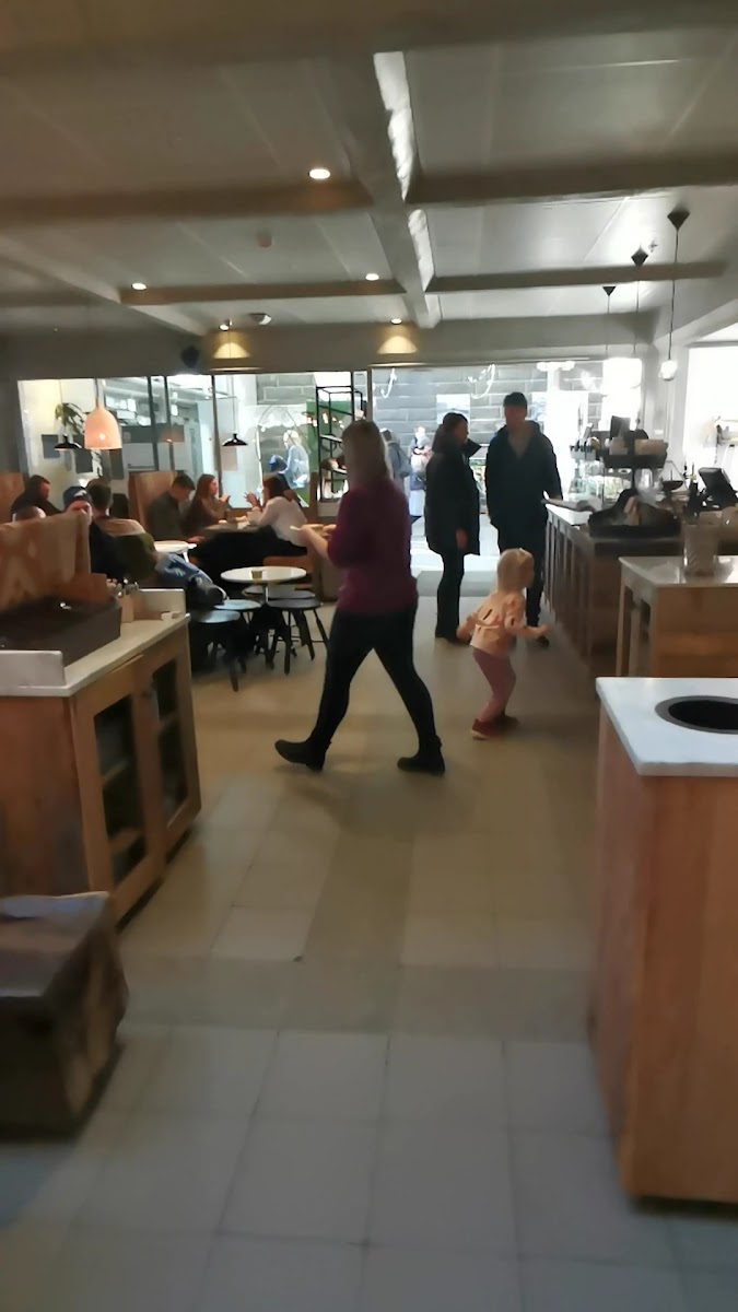 Sirkus Renaa Sølvberget-2