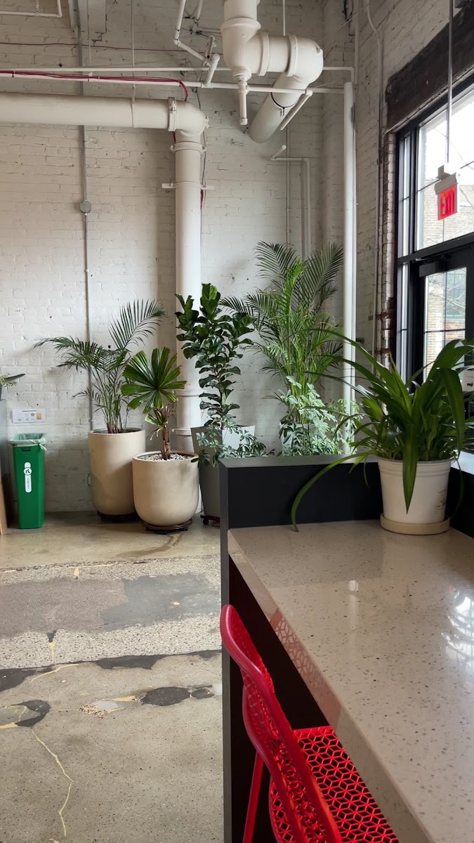 Sk Coffee: Coffee Bar & Roastery-2