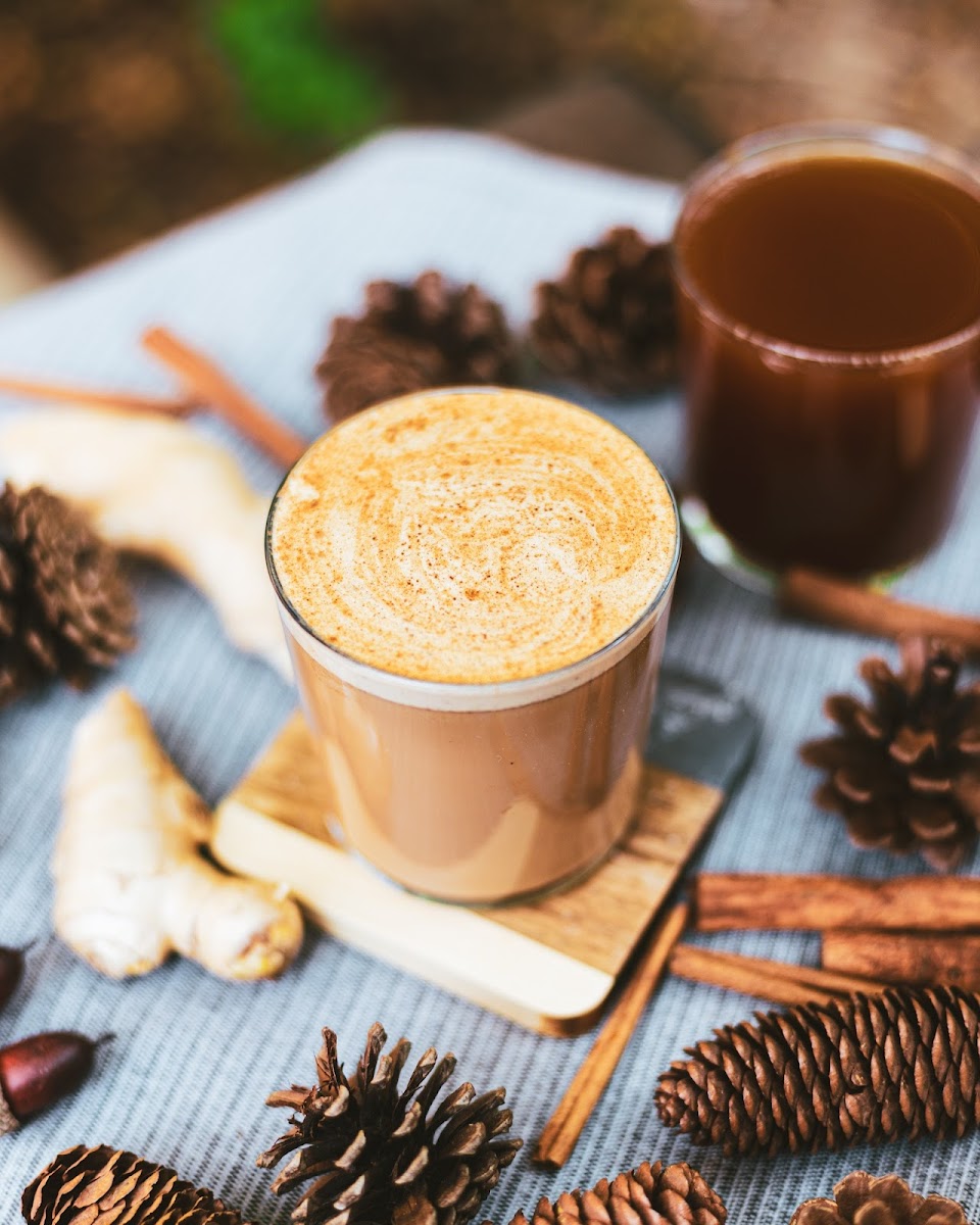 Snowy Owl Coffee Espresso Bar-3