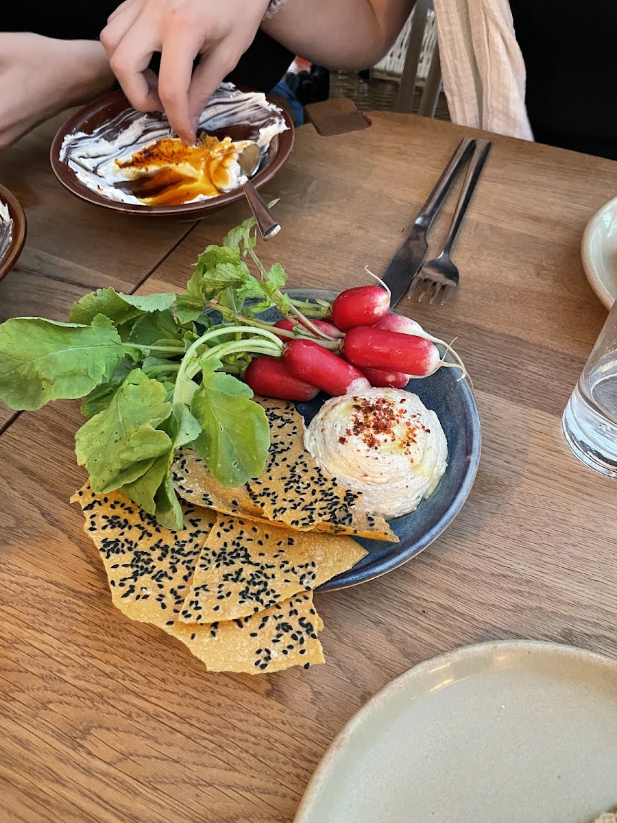 Sohaila-7