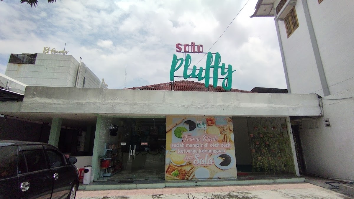 Solo Pluffy