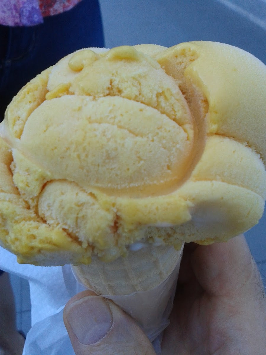 Sorveteria Friberg (Unidade Praia)-6