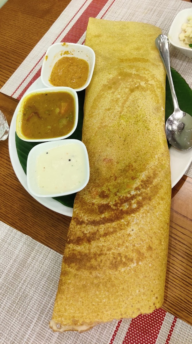 Southern Delights - Pure Vegetarian South Indian-5