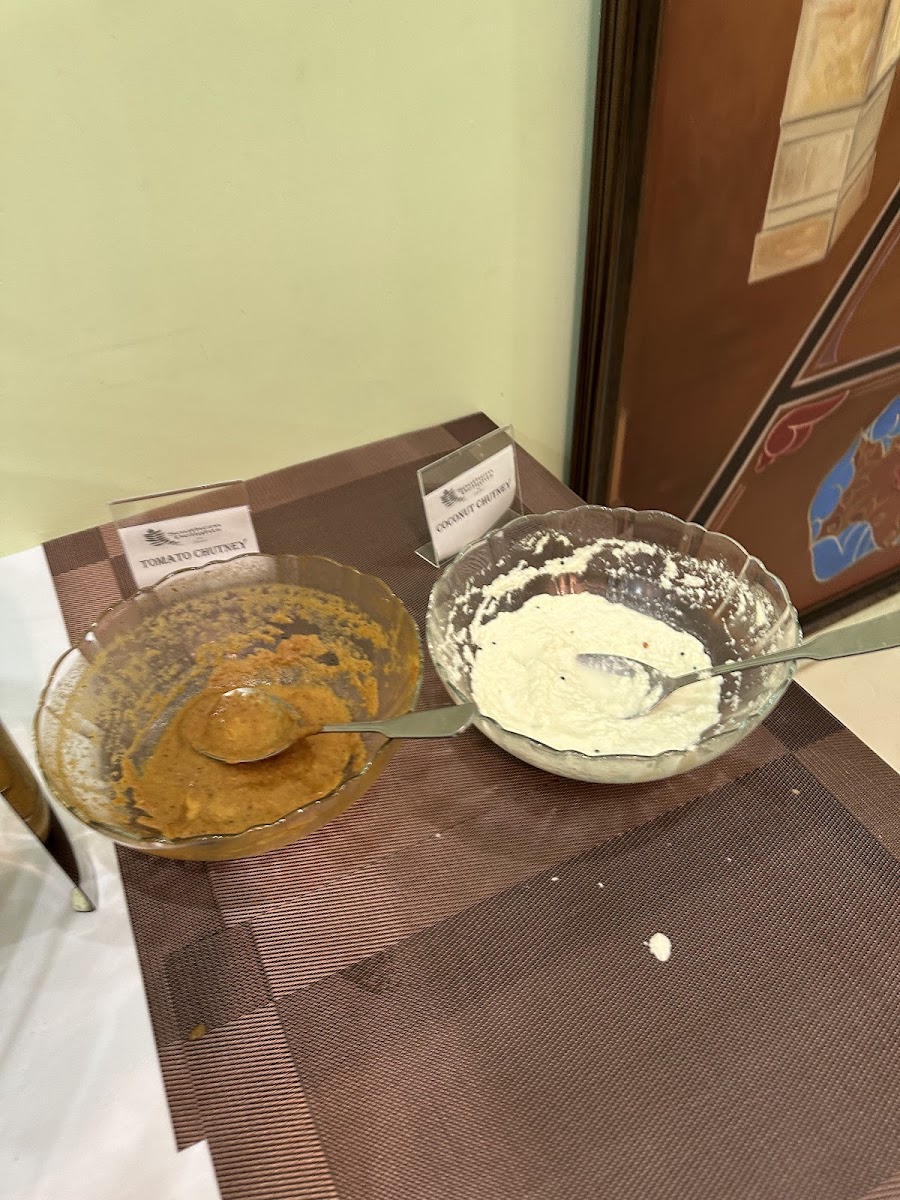 Southern Delights - Pure Vegetarian South Indian-9