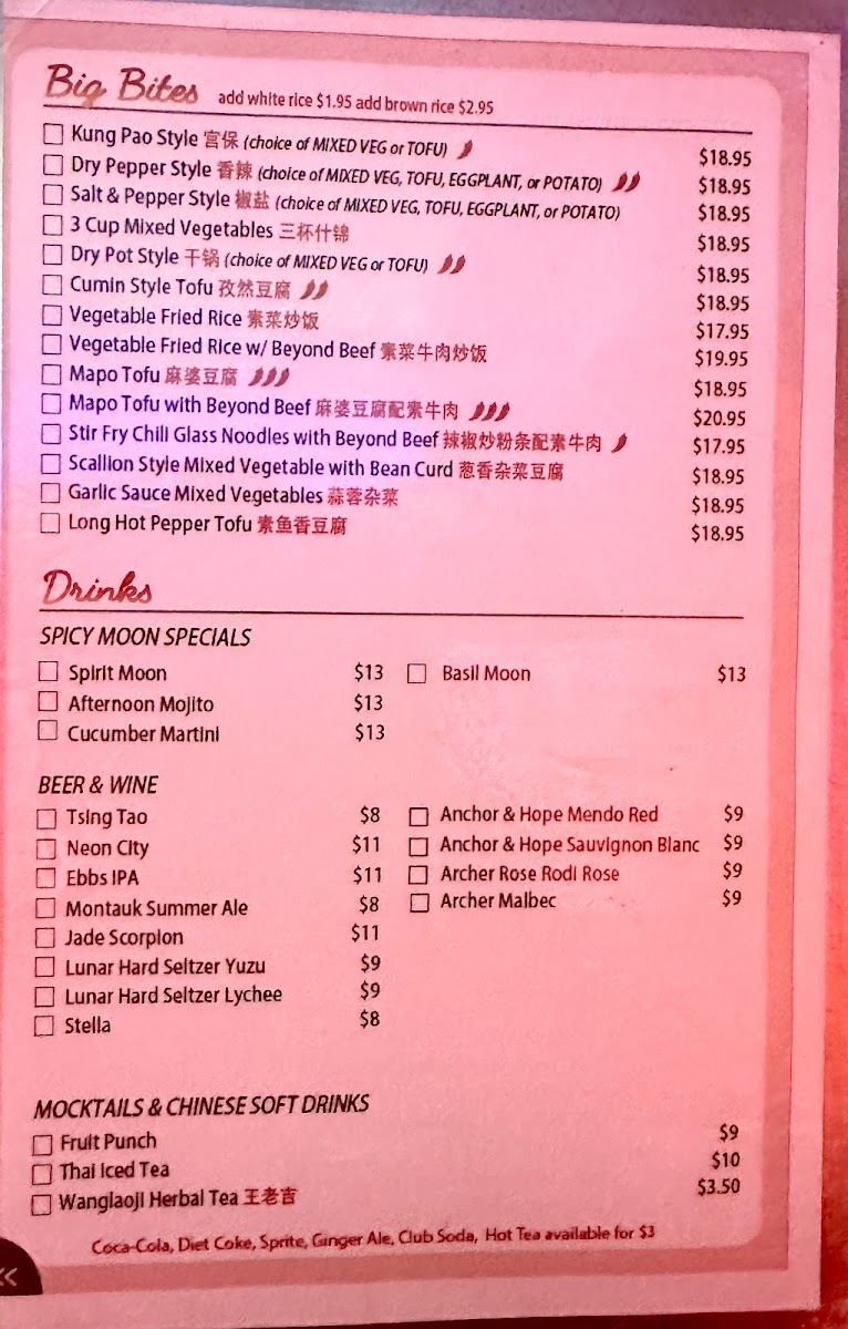 Menu Spicy Moon East Village-4
