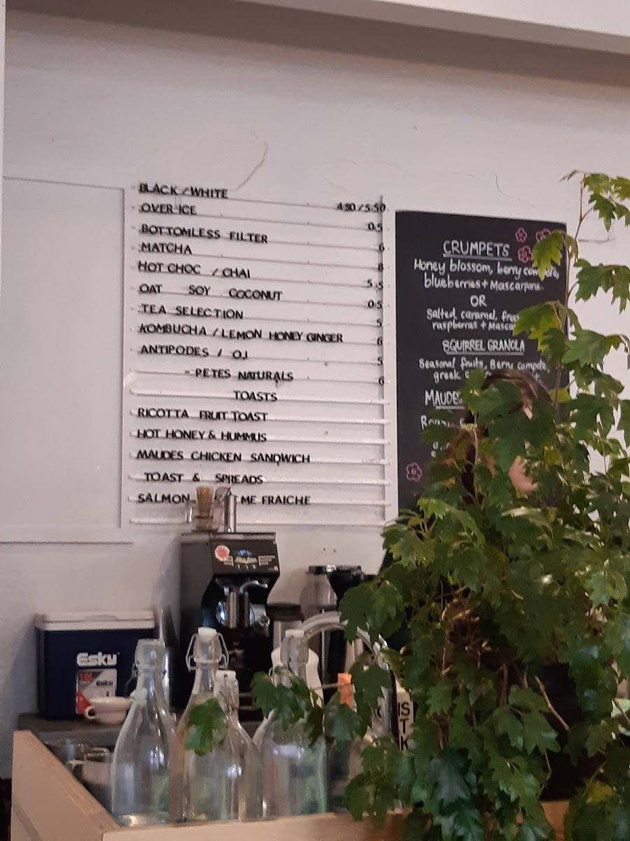 Menu Squirrel Nz-4
