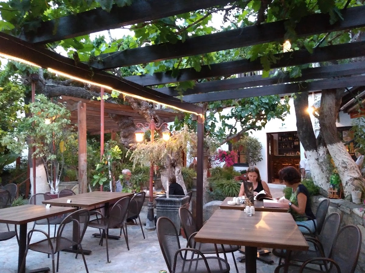 Stala’S Grill Corner-7