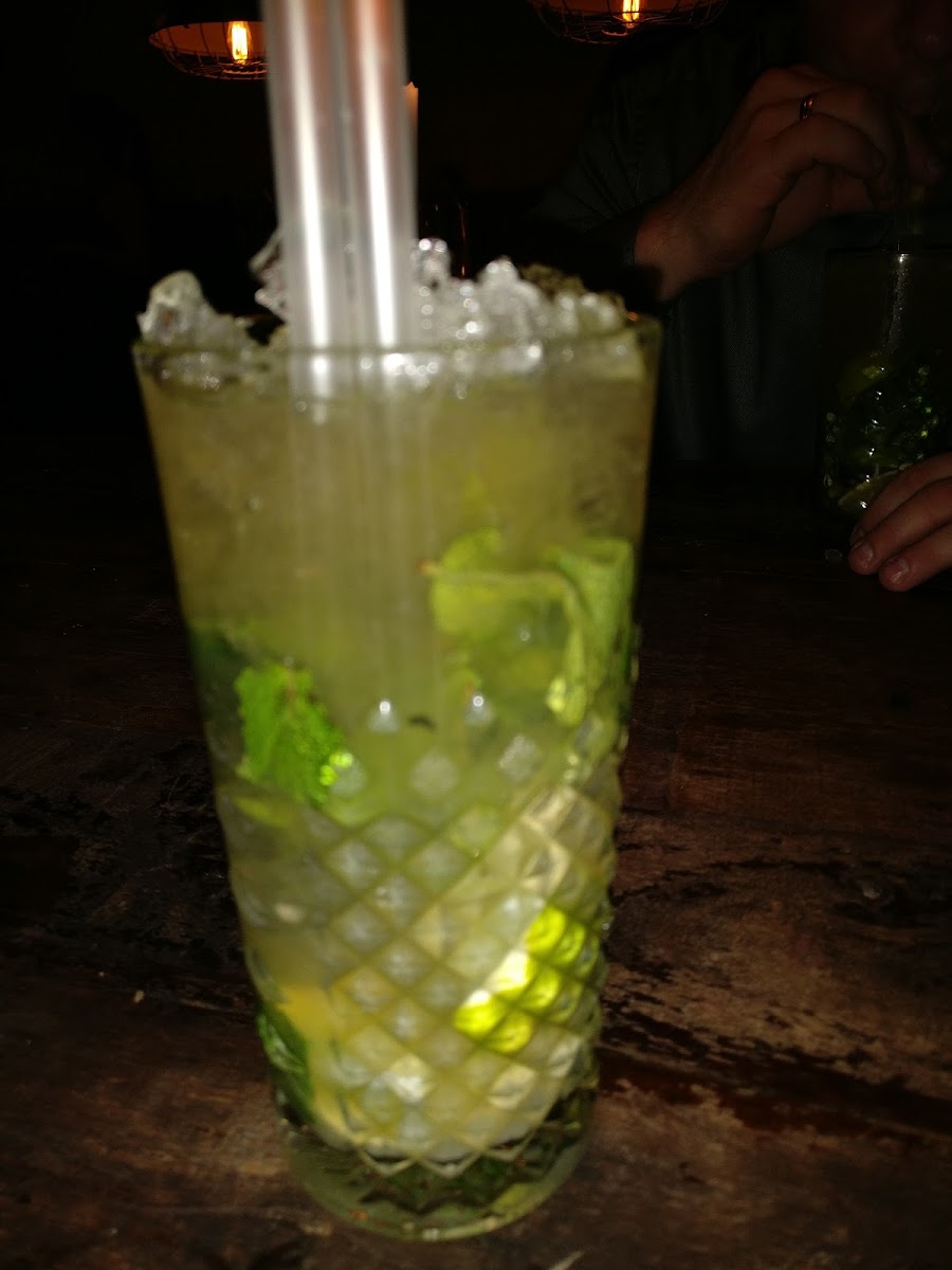 Stechers-6