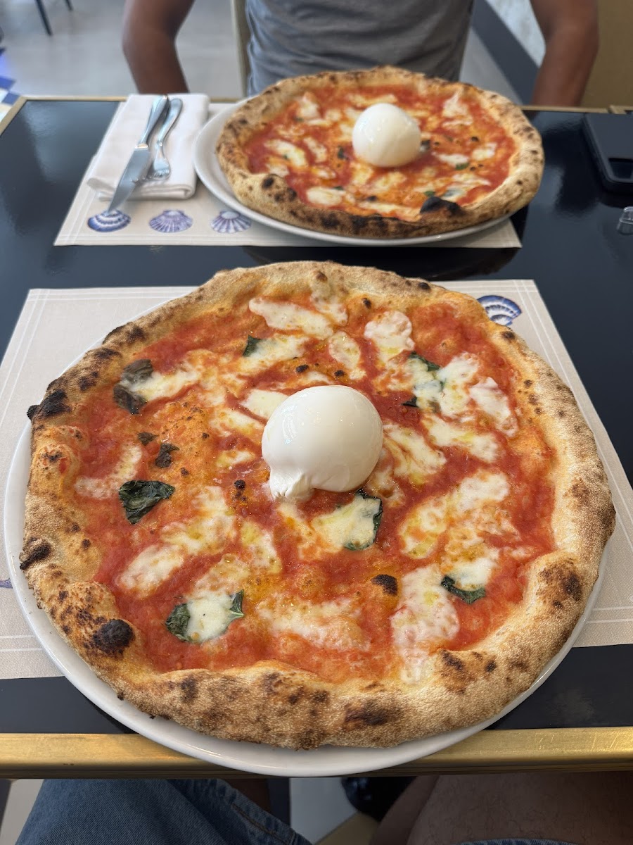 Stella Marina-4